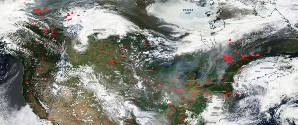 The image shows active fires (in red, from MODIS and VIIRS satellite instruments) and grey smoke plumes on June 4th over Canada and the USA. The white areas are regions with cloud-cover.