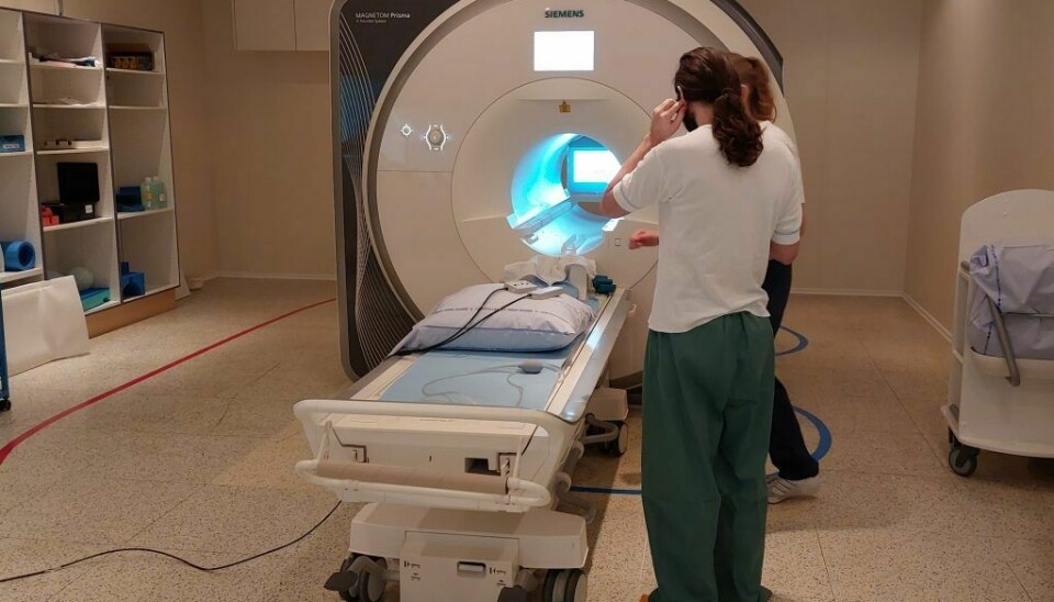 I denne artikkelen skal det handle om fMRI. En magnetisk skanningsmetode som danner et så kraftig magnetfelt at kjøleskapsmagnetene dine skammer seg, og som lar forskerne se hjernen i detalj.