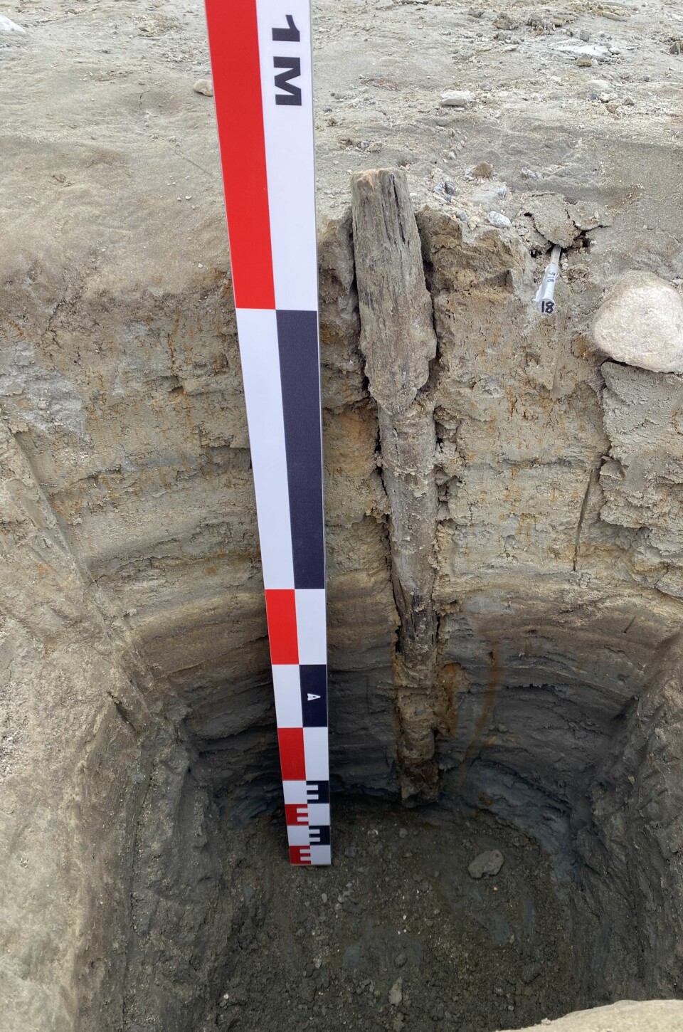 80 centimeter langt staur banka ned i sjøbunnen til Tesse for kanskje 7.000 år siden.