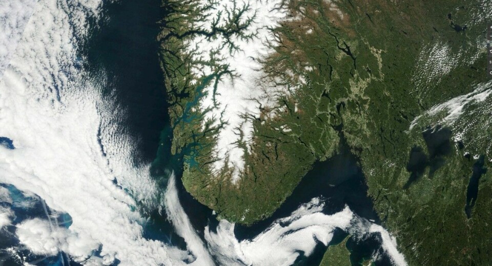 Satellittbilde av Sør-Noreg 9. juni 2023. Legg merke til fjordane i Ryfylke og Hardanger.