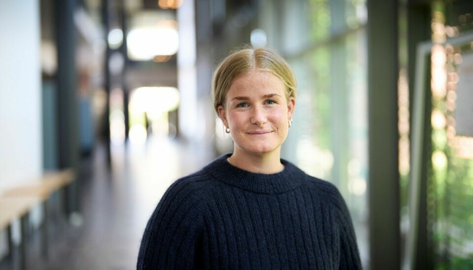 Tang og tare kommer til å bli en stor, viktig og klimavennlig næring for Norge, sier Johanna Liberg Krook.