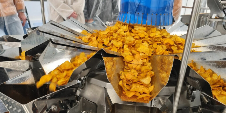 Fresh deep-fried crisps from Frosta. They are probably the healthiest crisps on the planet.