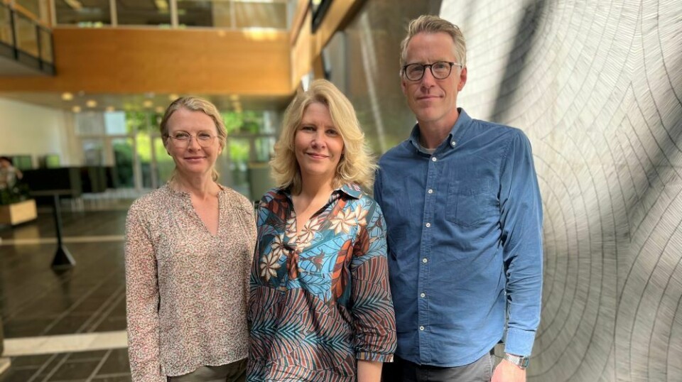 Kari Anne Rødnes (til venstre), Anniken Furberg og Kenneth Silseth har sett på hvordan lærere underviste i tverrfaglige tema de første årene etter innføringen.