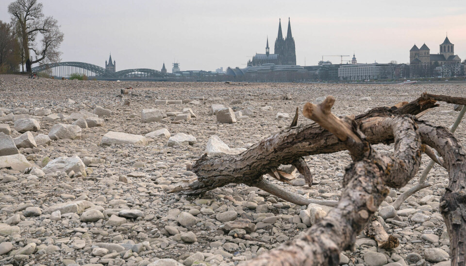 Her er Rhinen i Köln i Tyskland under en tørkeperiode.
