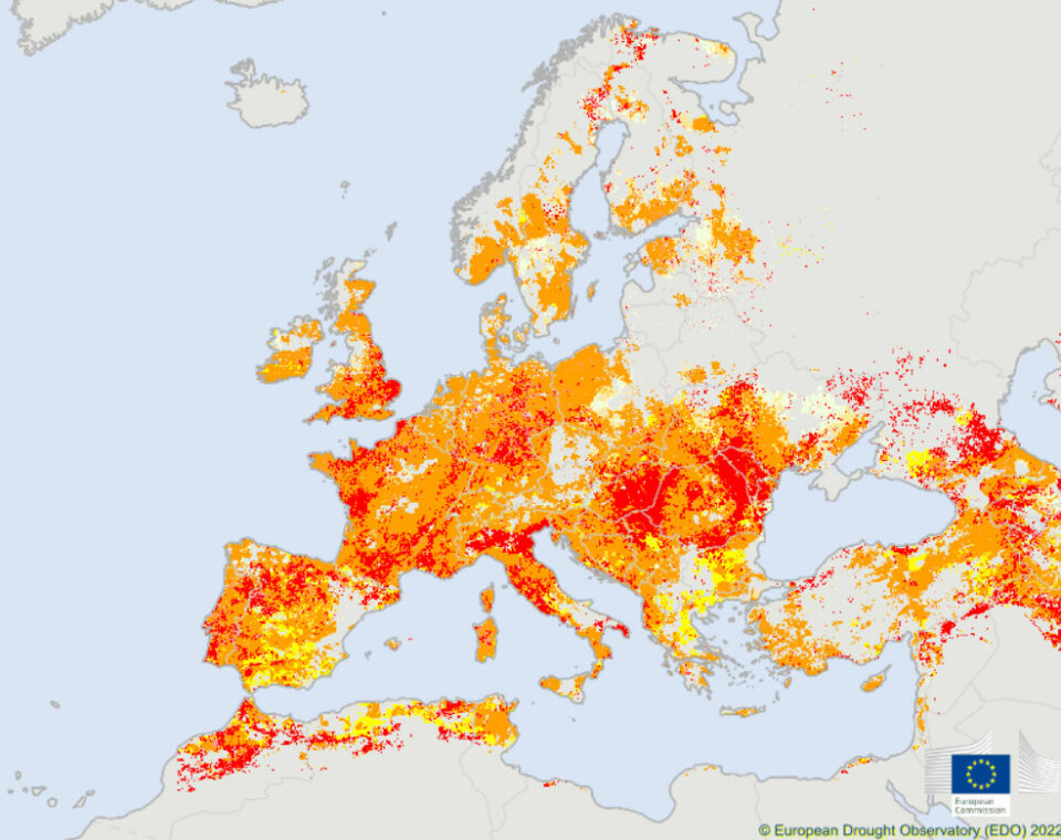 Kartet viser tørke-situasjonen for Europa 21. juli 2022. Gul farge markerer nedbørsunderskudd, oransje farge markerer markvannsunderskudd, og rød farge markerer stress hos planter som følge av nedbørs-, og markvannsunderskudd.