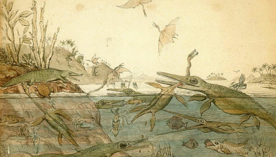 Dette kjente bildet ble tegnet av geologen Henry de la Beche i 1830 - for nesten 200 år siden. Han hadde latt seg inspirere av funnene til Mary Anning, en av de mest berømte fossil-jegerne i historien.