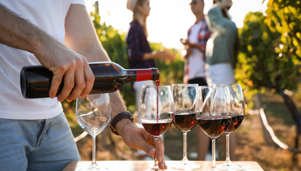 I Italia er fire glass vin om dagen den øvre grensen for anbefalt alkoholinntak. I Norge er det ingen slik anbefalt grense.