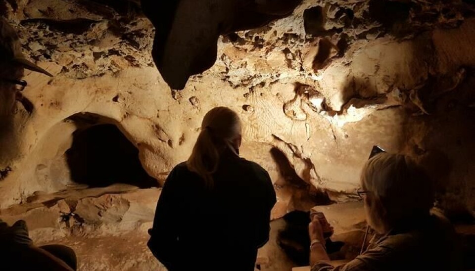 Forskerne ser på et veldig spesielt bilde, på veggen i en hule i Frankrike.