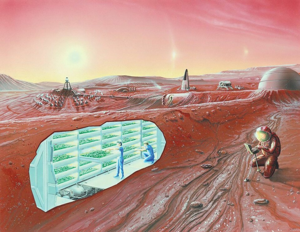 En annen framtidsvisjon som viser en mulig base på Mars. Her ser du planter som dyrkes under bakken.