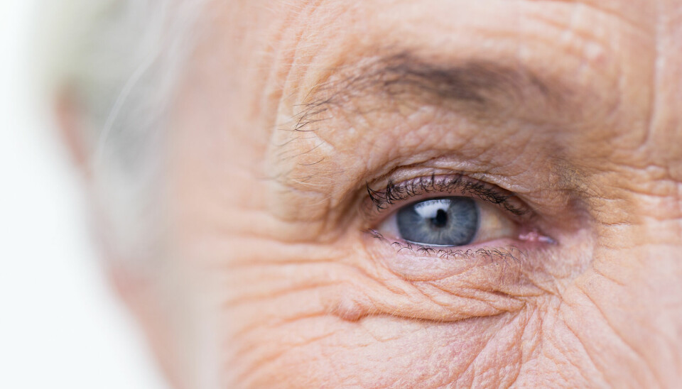 Selv langt ut i forløpet av sykdommen, når andre muskler har visnet bort, virker øyets muskler hos ALS-pasienter.