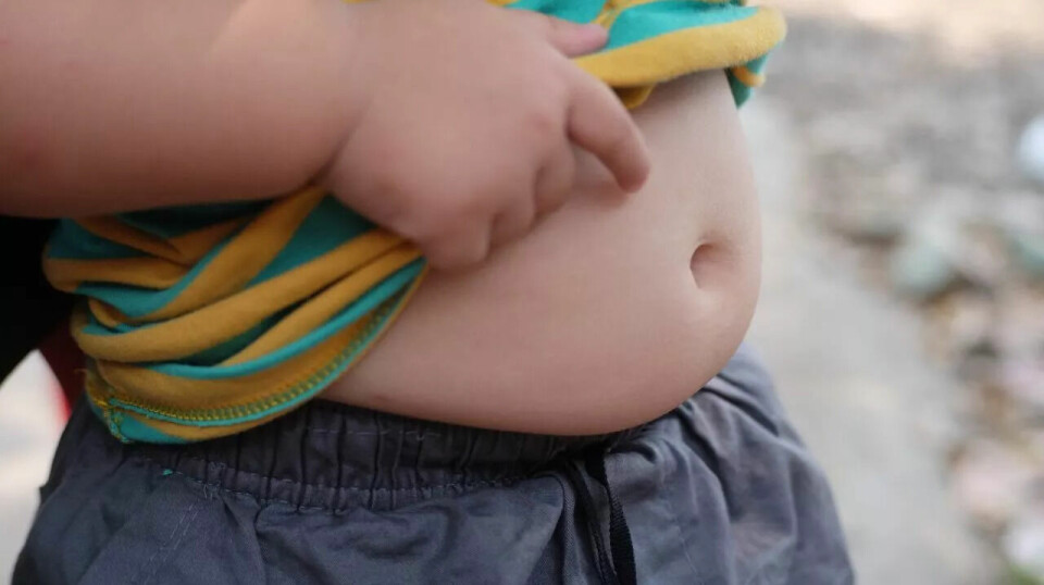 Det har lenge vært kjent blant forskere at overvektige barn har mye høyere risiko for tidlig pubertet.