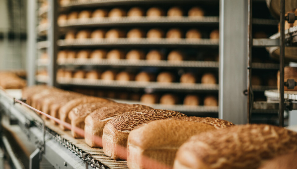 Forsker Simon Erling Nitter Dankel mener kjøpebrød ikke er så sunt som mange skal ha det til, fordi det er masseprodusert.
