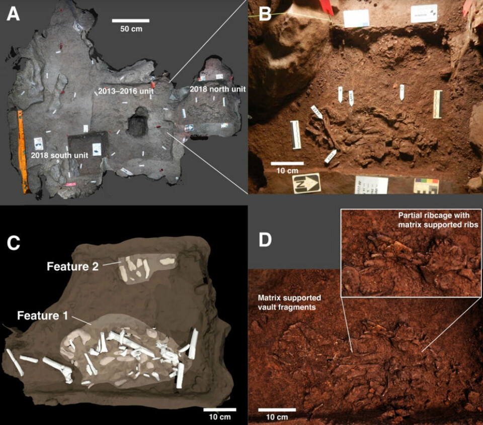 Fotoet (B) viser det forskerne mener er begravelsen av en Homo naledi.