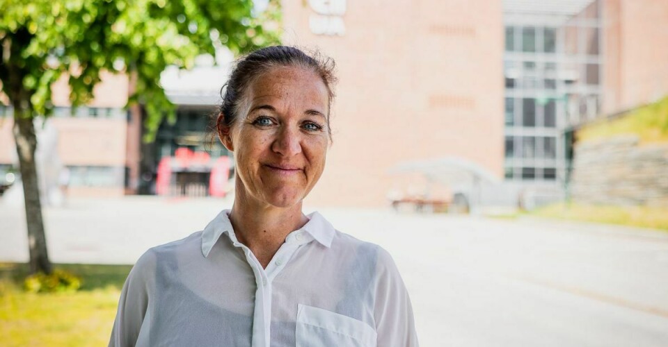 Anita Øgård-Repål er utdannet sykepleier, og er førsteamanuensis ved Fakultet for helse- og idrettsvitenskap ved UiA.
