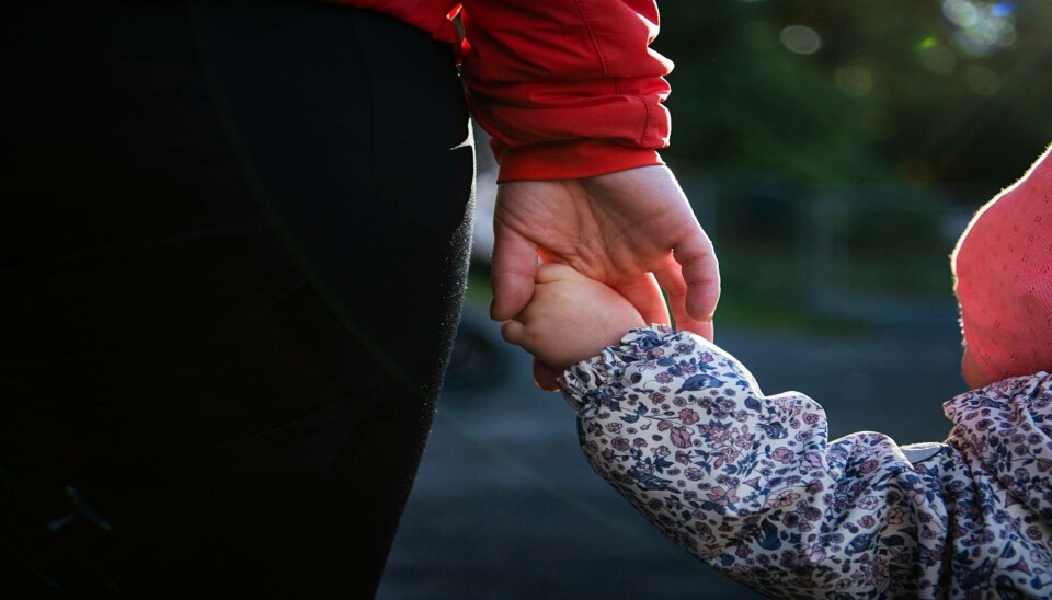 Mens skolene stiller stadig høyere krav til både barnehager og barna som skal begynne på skolen, dras barnehagelærerne mellom politiske krav og egen profesjonsetikk.