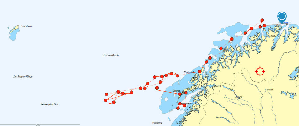 Satellittmerking gjør at vi kan følge med på hvordan det går med hvalen etter forsøkene. Her er ruta den ene av hvalene har fulgt i dagene etter testingen. Den svømte først mot vest, så nordover forbi Nordkapp til beiteområder utenfor Finnmarkskysten.