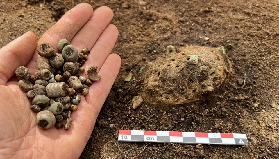 – Vi fant fryktelig mye mer gjenstander enn vi hadde trodd, forteller arkeolog Emma Norbakk fra Agder fylkeskommune. Avbildet her er en håndfull av de mange perlene som lå i graven, antagelig fra flere kjeder, og en av fire draktspenner.