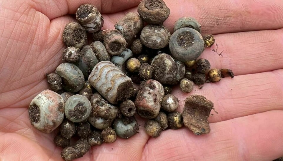 Det ble funnet opp mot hundre perler i ulike stilarter. Disse vil kunne dateres ganske så eksakt, og arkeologene vil også kunne si noe om hvor i verden de kom fra.