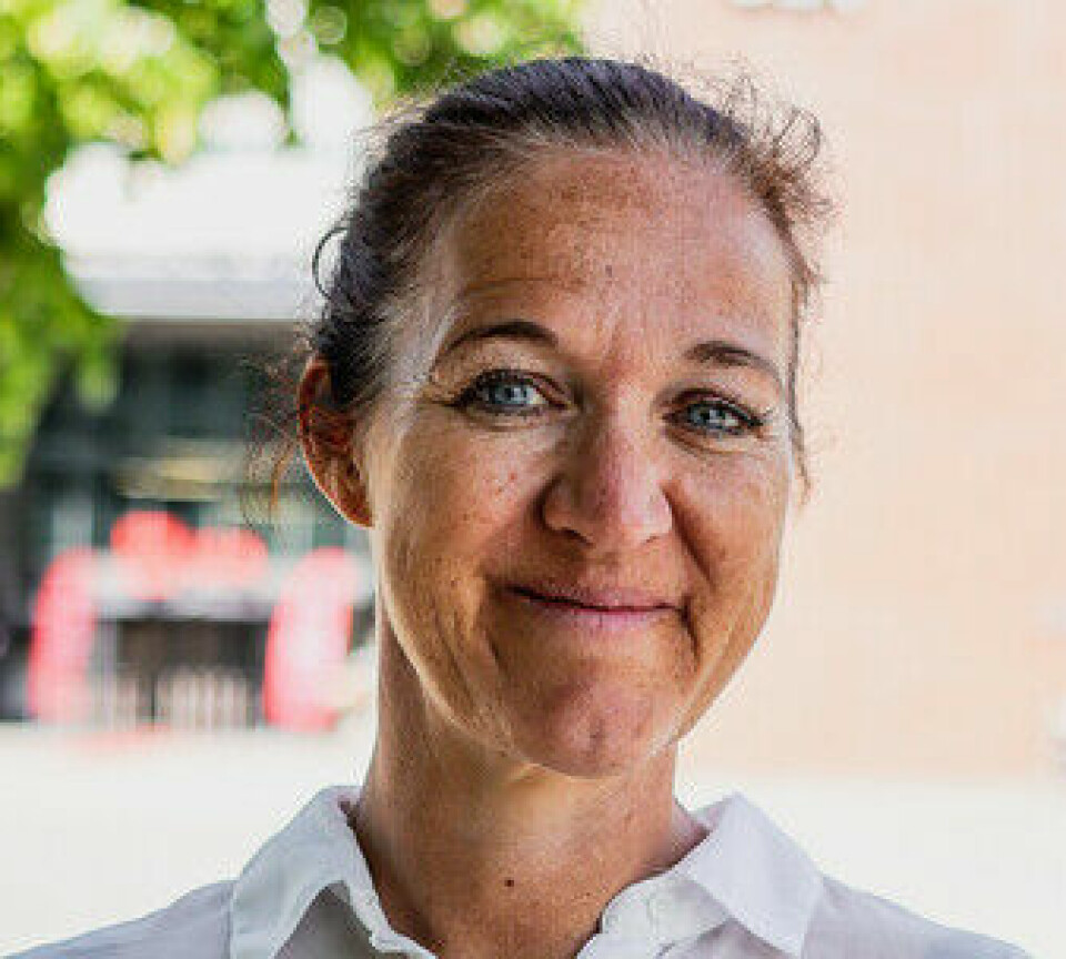 Anita Øgård-Repal is an associate professor at the University of Agder.