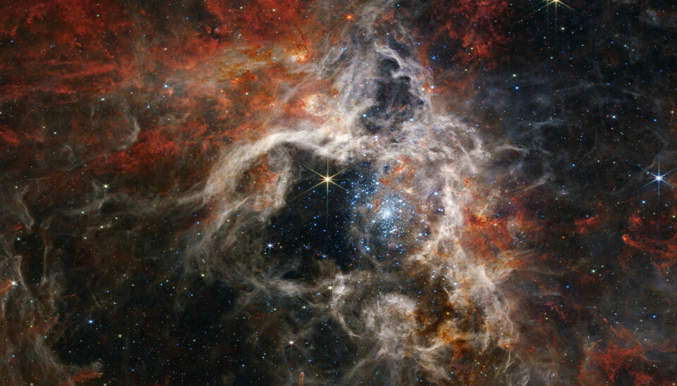 Tarantella-stjerneskyen er et sted i universet der nye stjerner lages. Her fant James Webb-teleskopet titusenvis av unge stjerner omringet av gigantiske støvskyer.