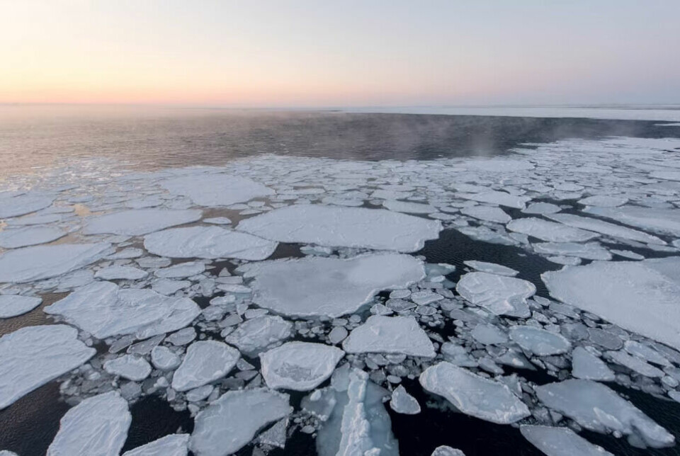 Sea ice on Svalbard.