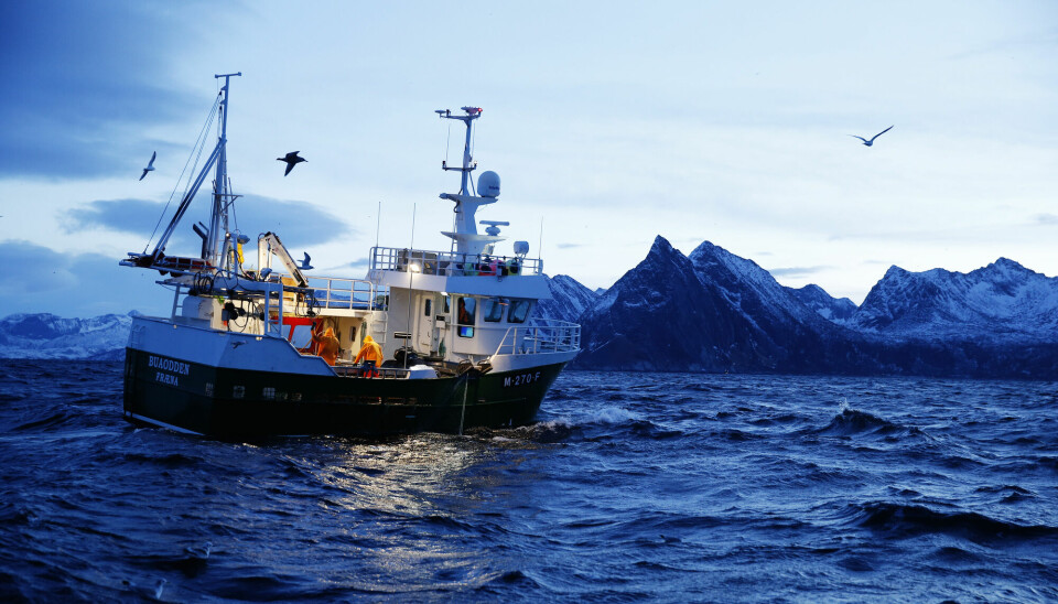 En fiskebåt ved Gryllefjord utenfor Senja. Torsk og sild er blant artene som kan bli hardt rammet av klimaendringene.