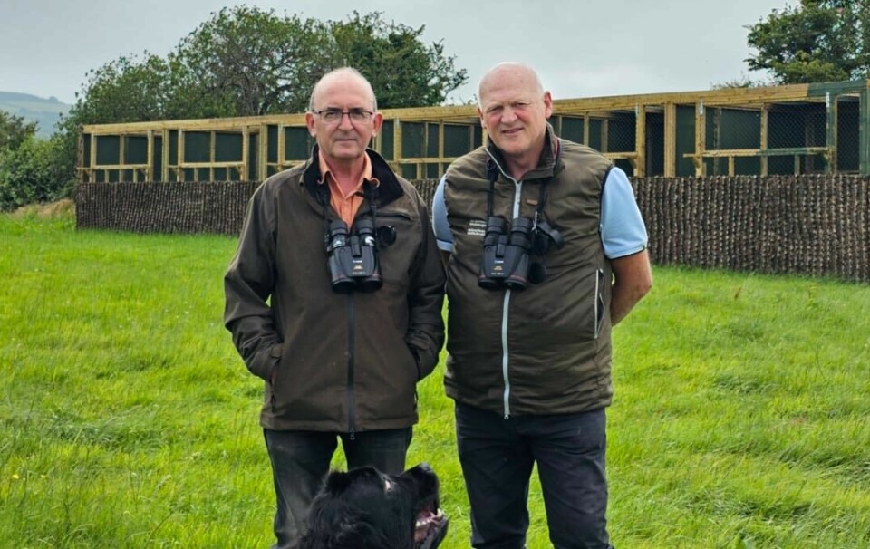 Foran utslippsburene i Waterford. Philip Buckley og Eamonn Meskell, som leder prosjektet i Irland for National Parks and Wildlife Service foran burene som fiskeørnene skal slippes ut fra.