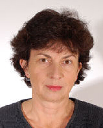 Hanne Bogen. (Foto: Fafo) Hanne Bogen. (Foto: Fafo)