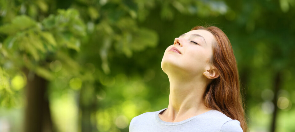 Kan du lukte at det skal regne?