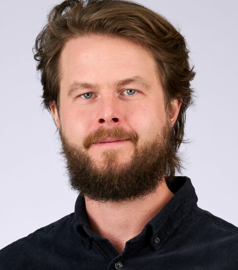 Lars Birger Davan er sosiolog. Han jobber på OsloMet.