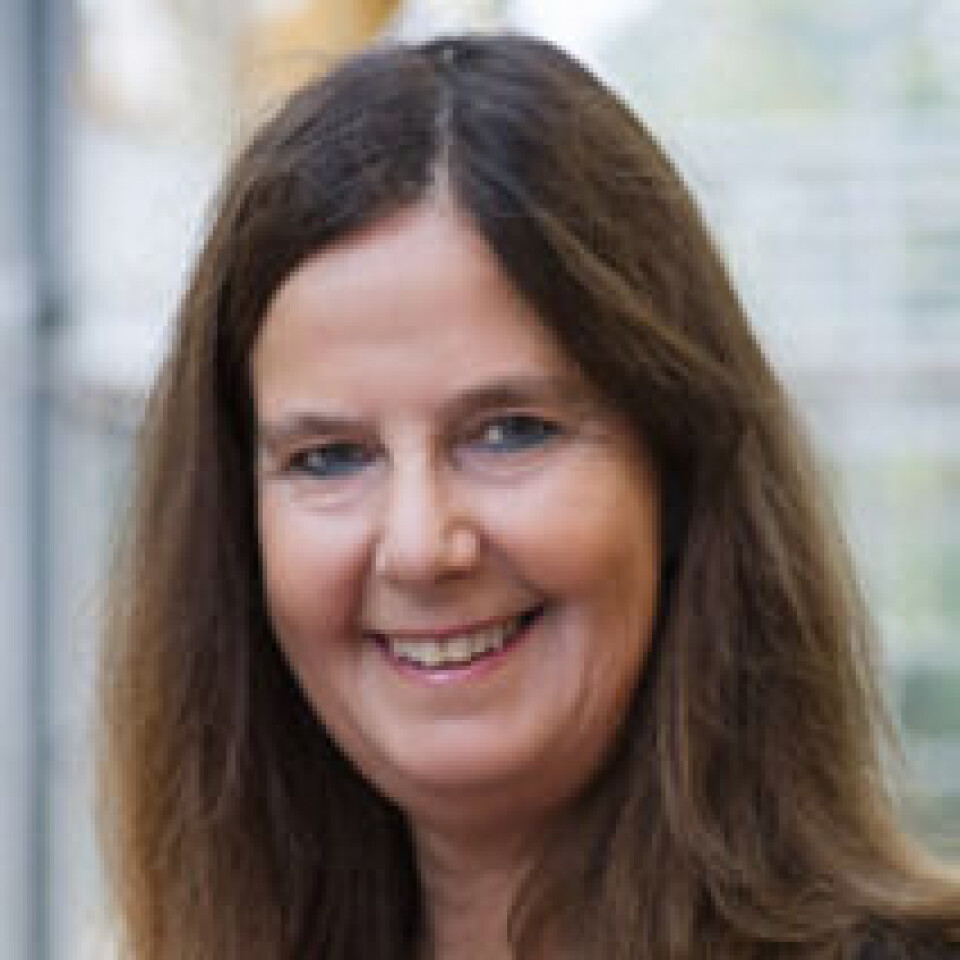 Anne Trine Kjørholt har ledet en studie av oppveksten for tre generasjoner i kystsamfunn i fem land.