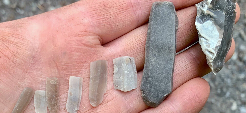 Flintgjenstander med helt rette og parallelle sidekanter fortalte arkeologer at det de hadde funnet var ekstra spennende.