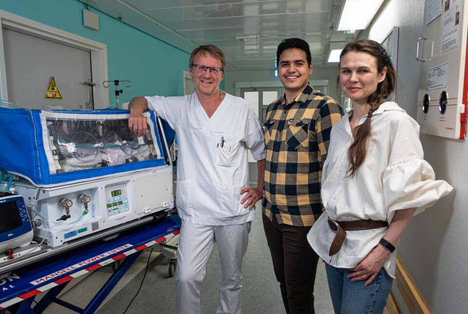 From left: Chief physician Claus Klingenberg at University Hospital of North Norway and researchers Ahmed Bargheet and Veronika K Pettersen at UiT the Arctic University of Norway are behind the recent study on probiotic use among premature babies.