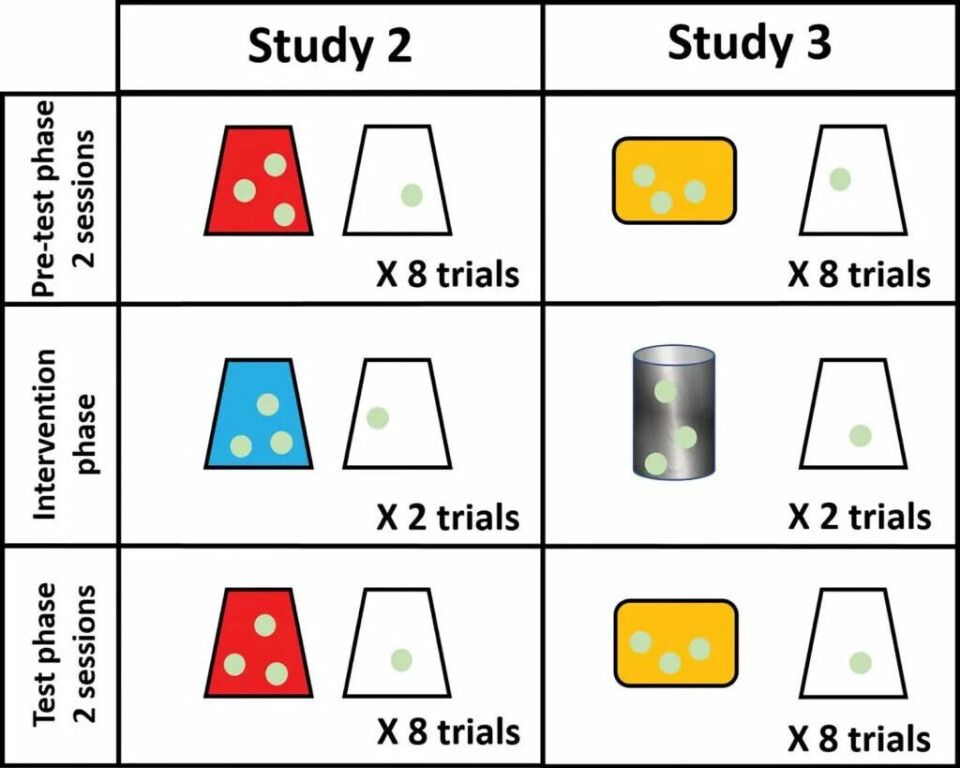 I grafici colorati mostrano una serie di diverse prove in cui i partecipanti dovevano scegliere tra tazze trasparenti e colorate con diverse ricompense.