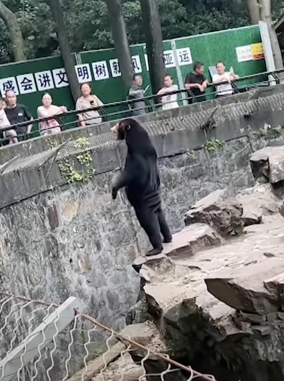 Dette synet gjorde så de besøkende i dyreparken Hangzhou Zoo i Kina stusset.