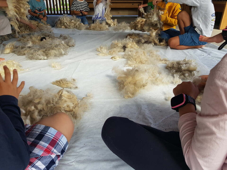 Når Jamouchi underviser elever, legger hun rå ull på gulvet. Mens duften av ull og natur fyller rommet, håndkarder barna ullfibrene.