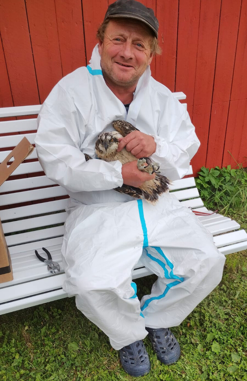 Forsker Duncan Halley med Irlands første ringmerkede fiskeørn.