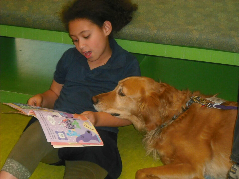 The dog's non-judgmental and welcoming nature makes it serve as a reading teacher for the child.