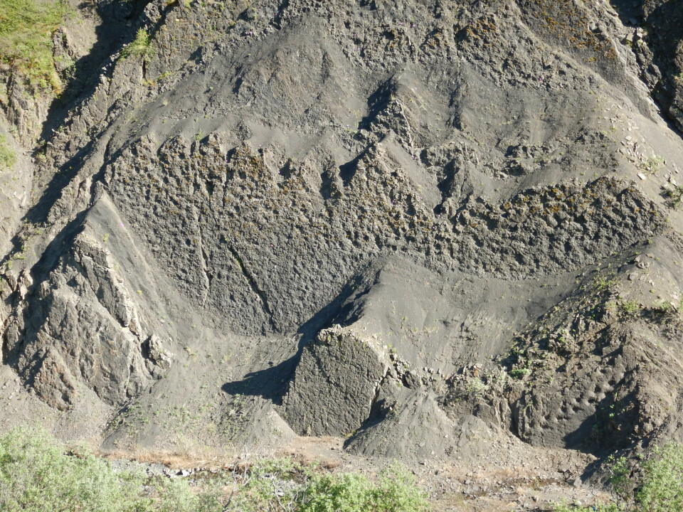 Alle gropene er dinosaur-spor! Sporene er lagd av mange ulike dinosaurer. Nederst til høyre ser du en fin rad med avtrykk lagd av en nebbdinosaur. Du kan også se at det er flere lag med spor. De stammer fra ulike tider.