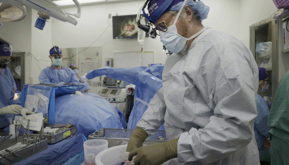 Robert Montgomery ved New York University transplanterte grisenyren inn i kroppen til en hjernedød pasient som hadde valgt å donere kroppen sin til medisinsk forskning.