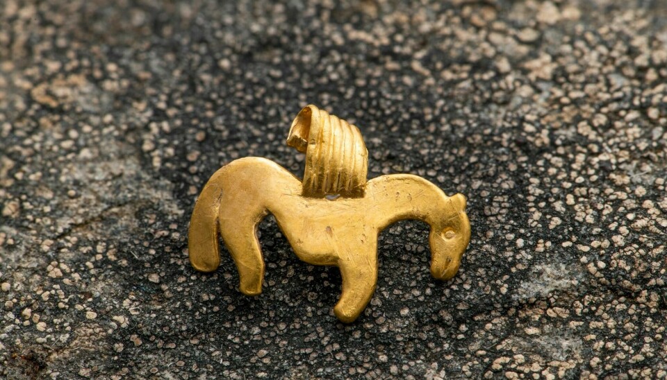 Dette er et lite gull anheng til et smykke. Det er cirka 1500 år gammelt.