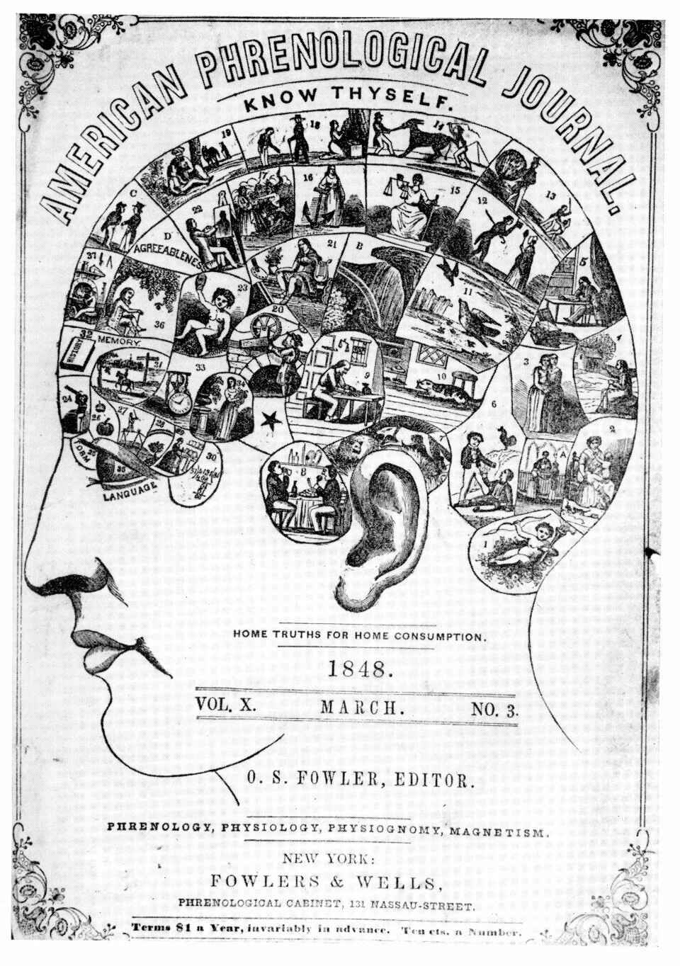 Det frenologiske hjerneatlaset, vist på forsiden av American Phrenological Journal i mars 1848.