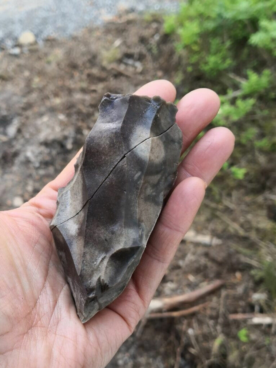 An unusually large piece of flint that has cracked across and then been discarded. There is still a lot of fine flint left that could have been used further, but for some reason, it has not been.