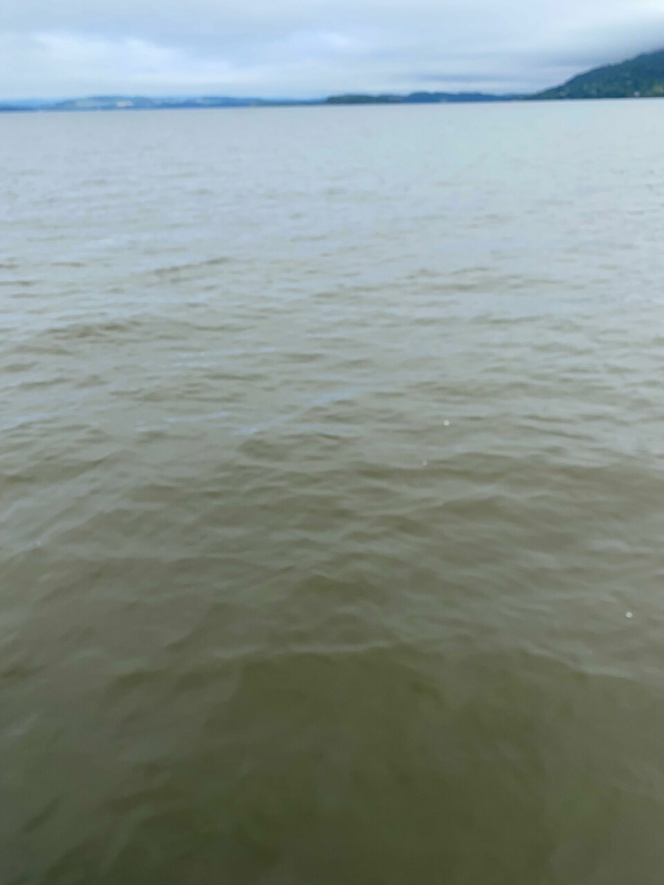 I de store innsjøene på Østlandet har vannet mange steder en tydelig brun-grå farge.