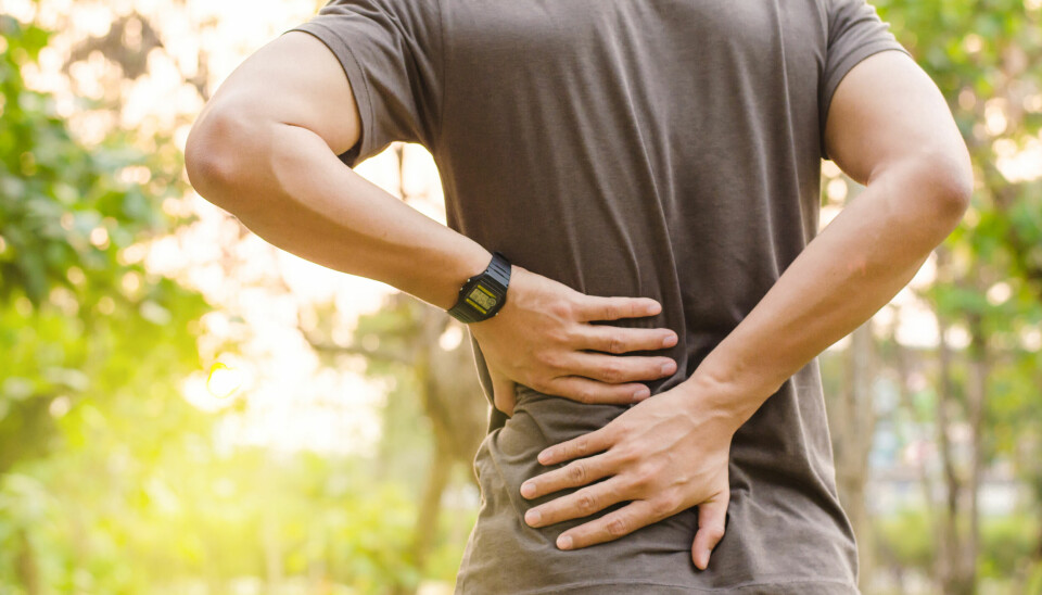 Vedlikeholdsbehandling for vond rygg gav færre dager med smerte.