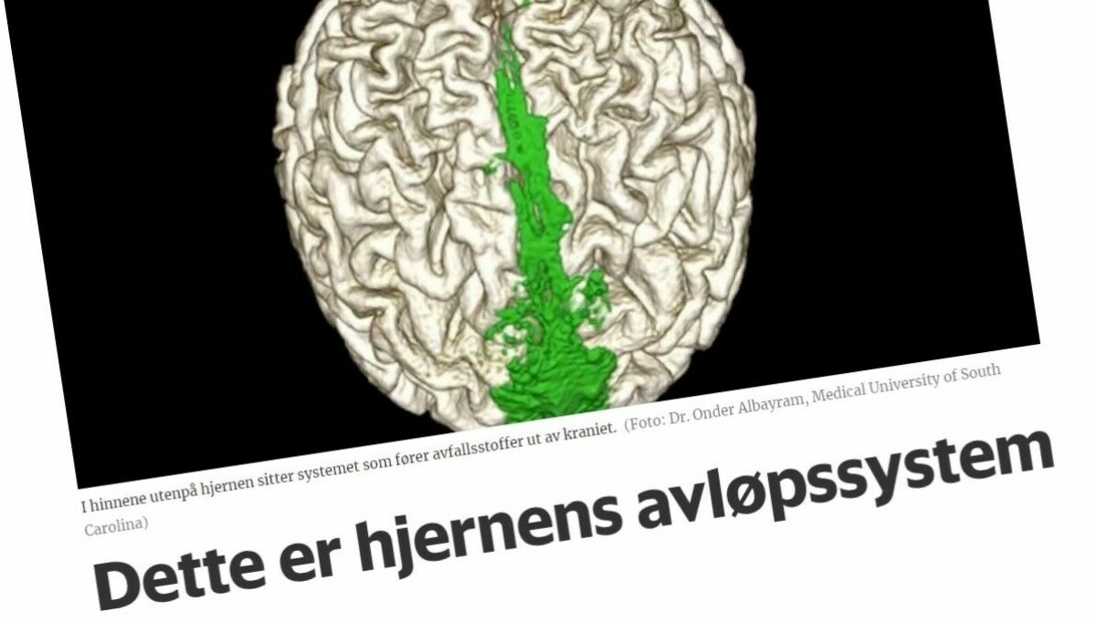 Alcuni ricercatori norvegesi stanno conducendo uno studio sul sistema di drenaggio del cervello