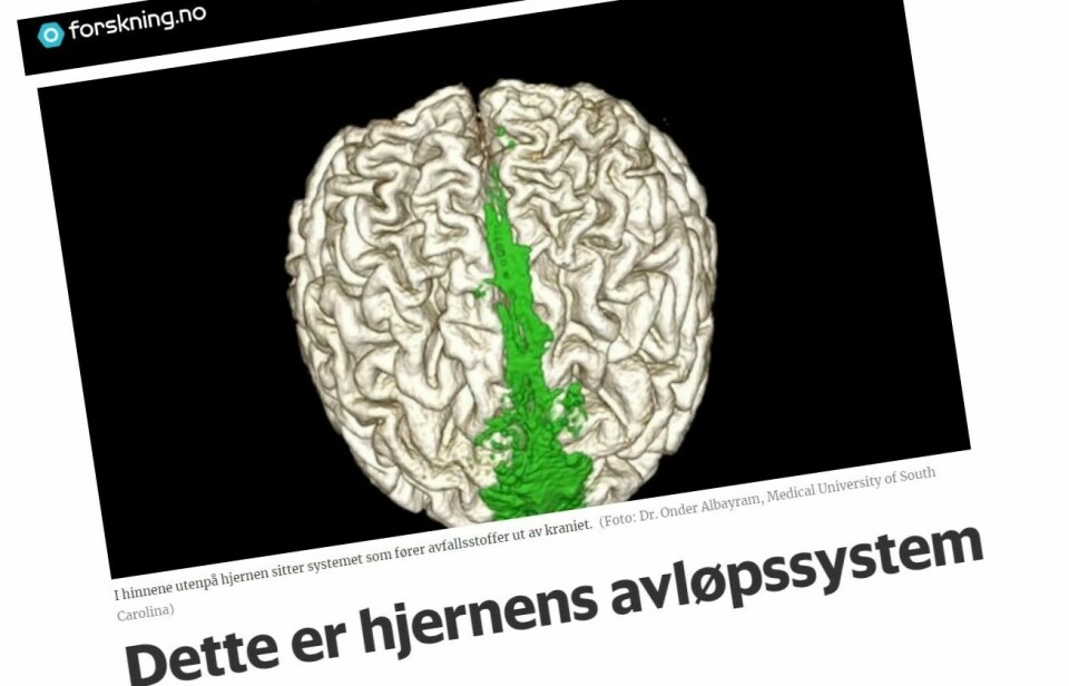 Studien ble omtalt på forskning.no. Norske hjerneforskere mener forskerne bak studien fikk med mye mer enn bare lymfesystemet utenpå hjernen.