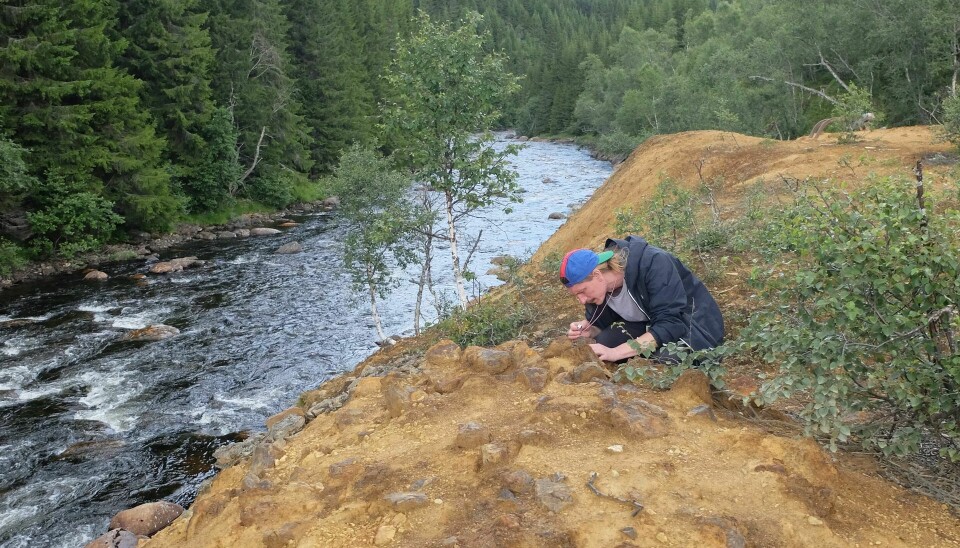 Erik Möller jakter på sjeldne laver i Hessdalen.