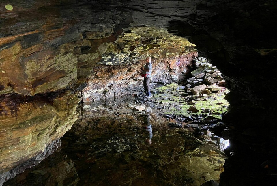 Også inne i de gamle gruvegangene finner Einar Timdal lav. Her ved Klasberget gruve nordøst for Røros.
