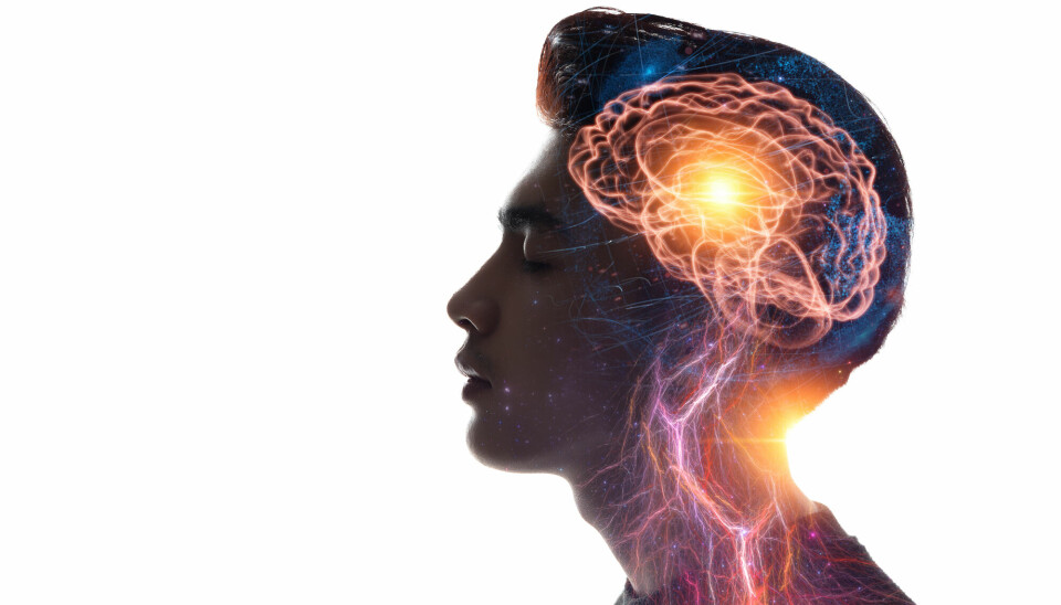 Forskerne implanterte elektroder inne på kvinnens hjerneoverflate, hvor bevegelser av lepper, tunge og kjeve styres når vi snakker. Elektrodene ble koblet til flere datamaskiner som tolker hjernesignalene og gjør dem om til tale.
